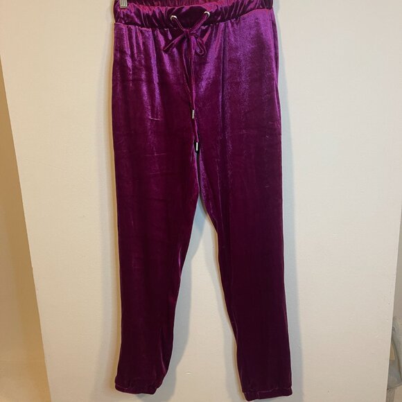Zara Trafaluc Velvet Pants - Picture 3 of 5